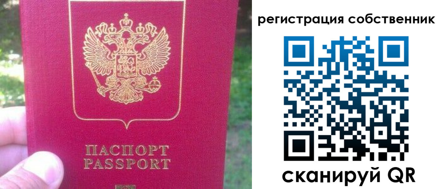 временная регистрация 2025 в Волгоградской области